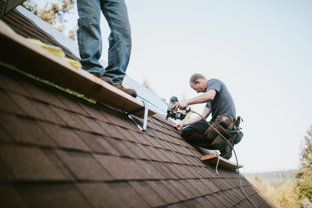 Best Local Roofing Companies  in Normandy Park, WA